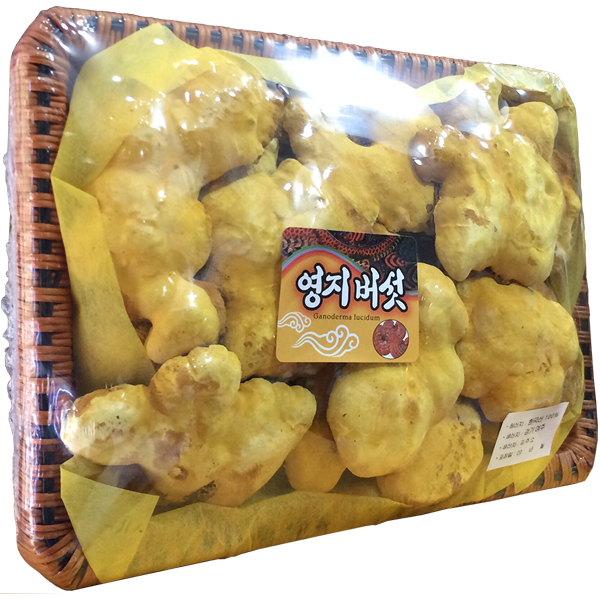 Nấm Thượng Hoàng Hàn Quốc khay 0.5kg